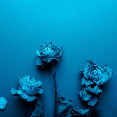 Quelle: Clipdealer.de, B336328842, erworbene Standardlizenz.